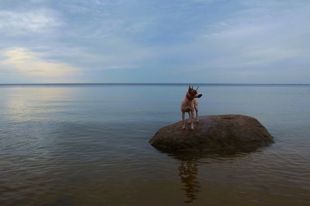 Там, где небо сливается с морем