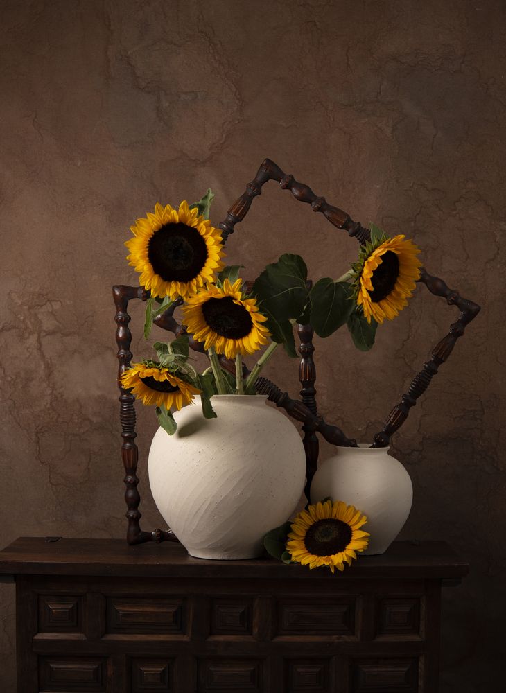 Photograph by Laura Oporanu