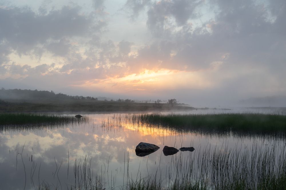 Фотография автора Андрей Русских