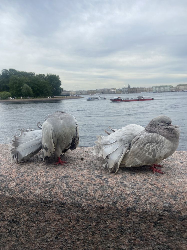 Photograph by Елена Мусина