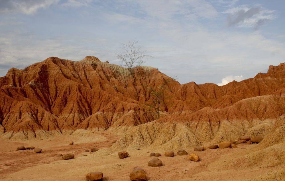 Фотография автора Luz Ortiz