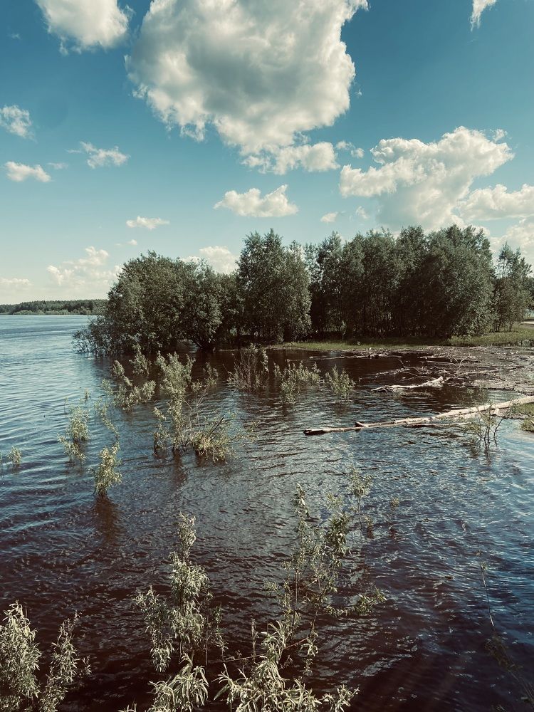 Photograph by Елена Мусина