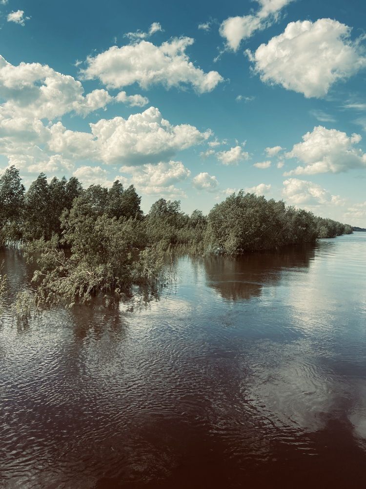 Photograph by Елена Мусина