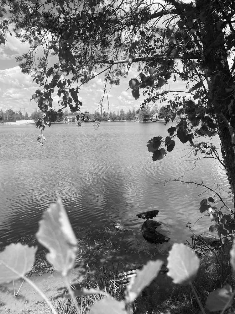 Photograph by Елена Мусина