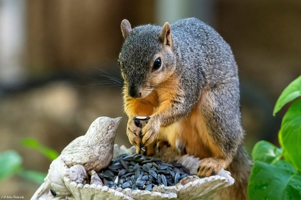 Photograph by Erik Nelson