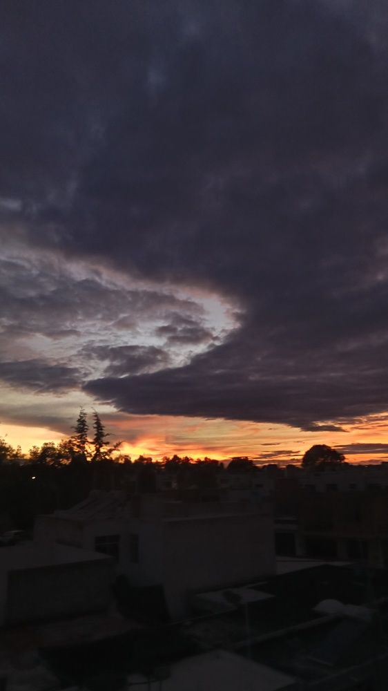 Photograph by Sofia Angeles Roman