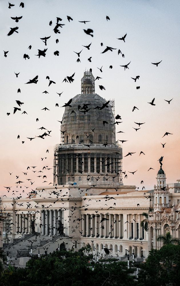 Photograph by David Vargas