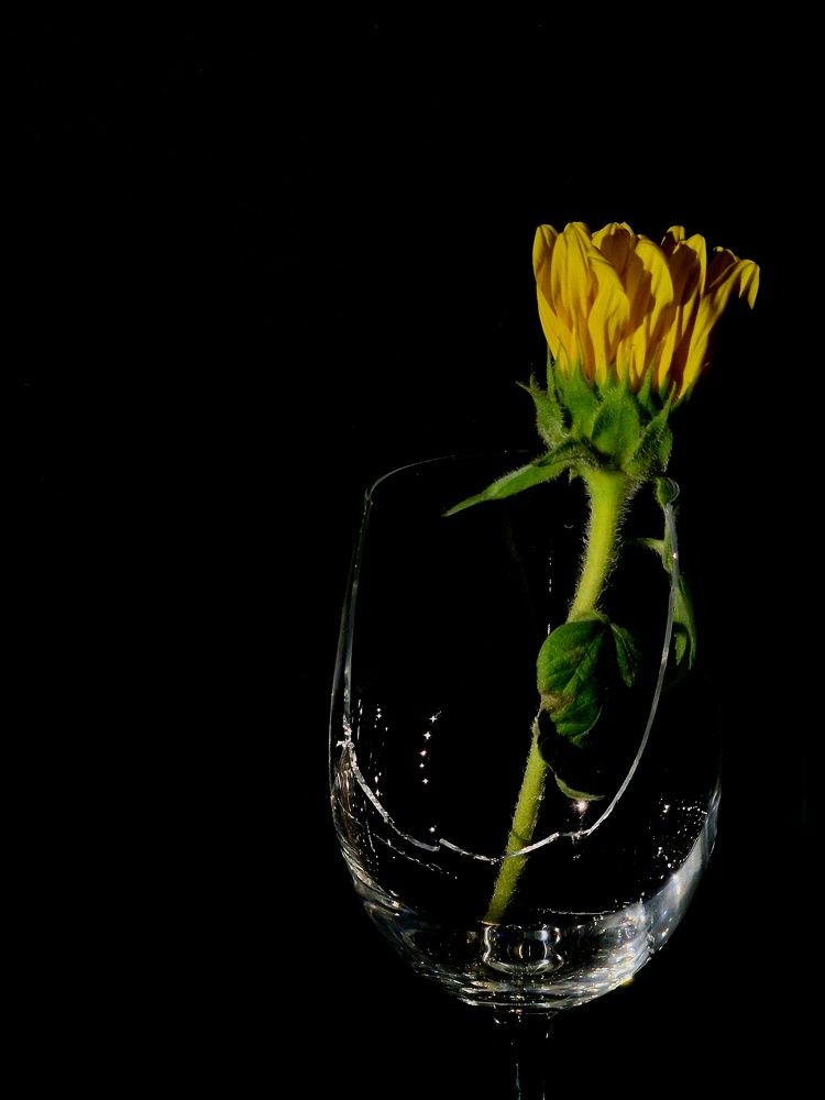 Фотография автора Maryna Pytliak