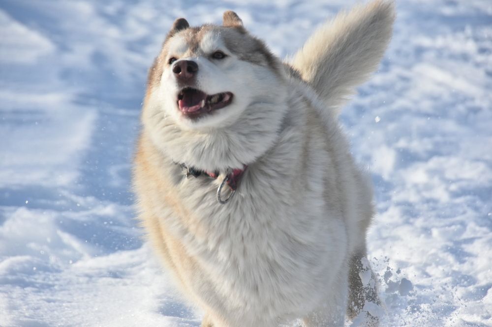 Photograph by Евгений Захаров