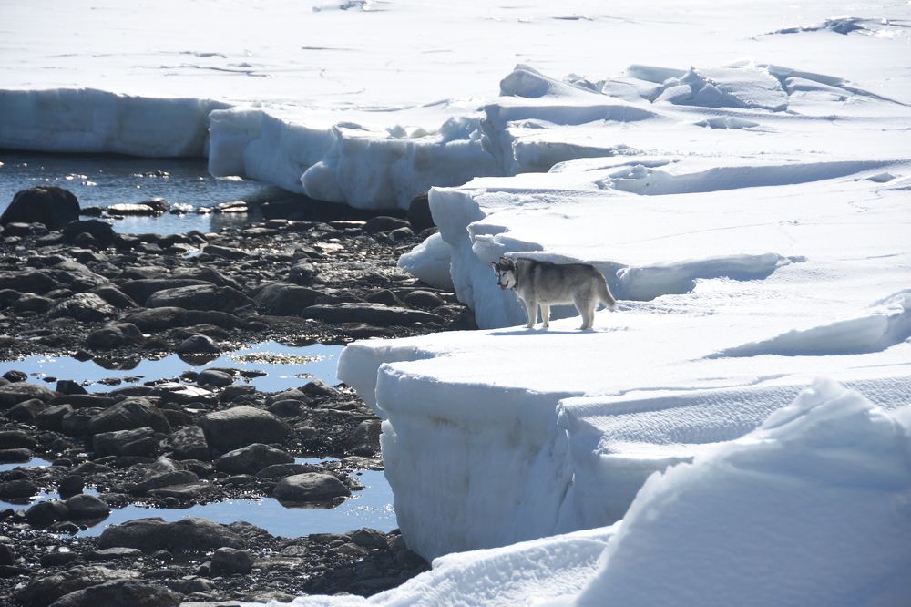 Photograph by Евгений Захаров