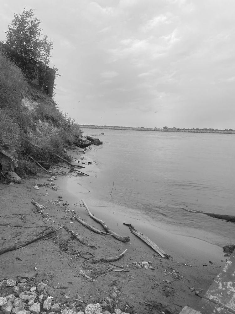 Photograph by Елена Мусина