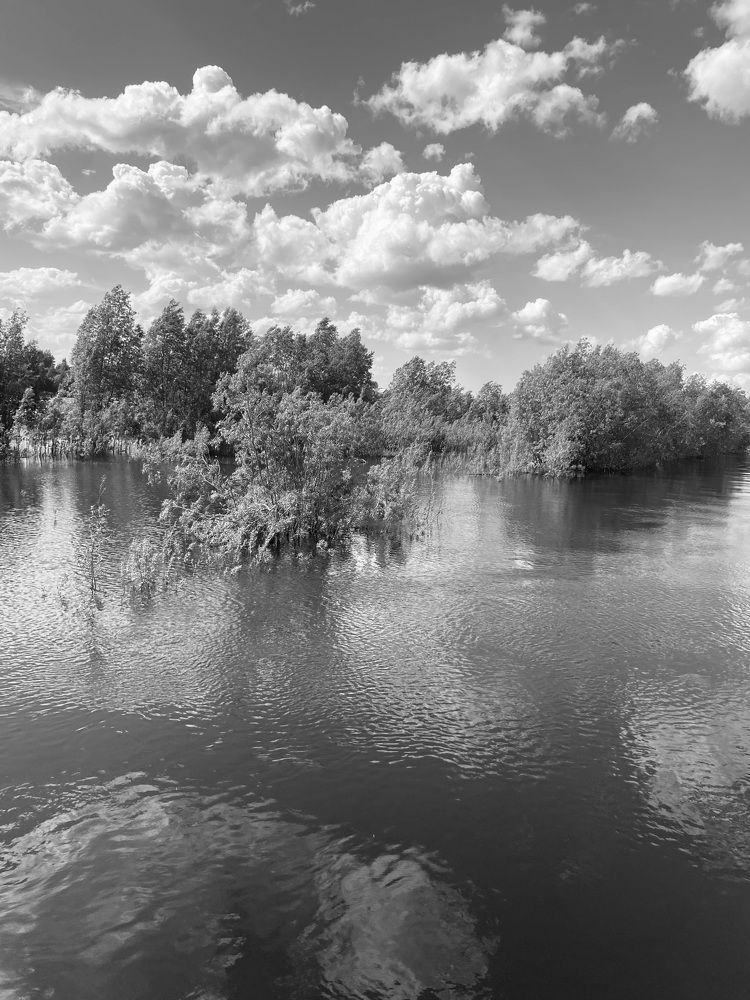 Photograph by Елена Мусина