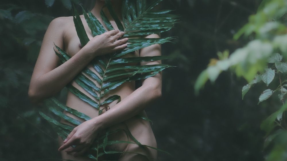 Photograph by Trần Tiến Dũng