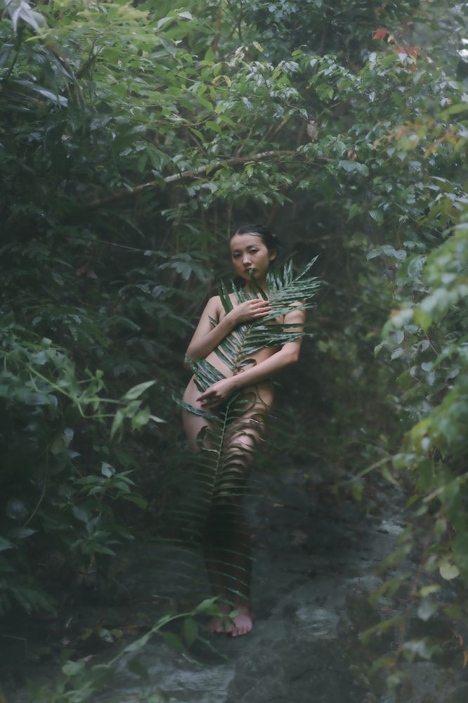 Photograph by Trần Tiến Dũng