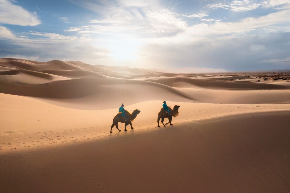 Photograph by Trần Tiến Dũng