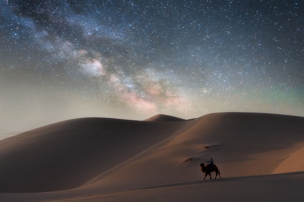 Photograph by Trần Tiến Dũng