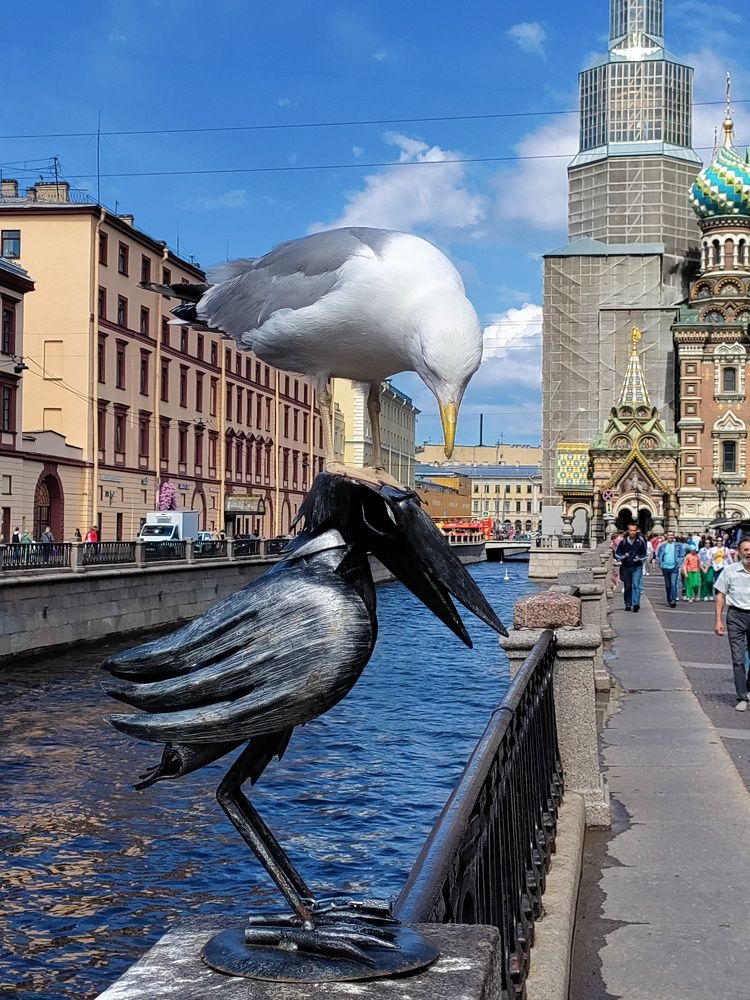 Photograph by Елена Шишкина