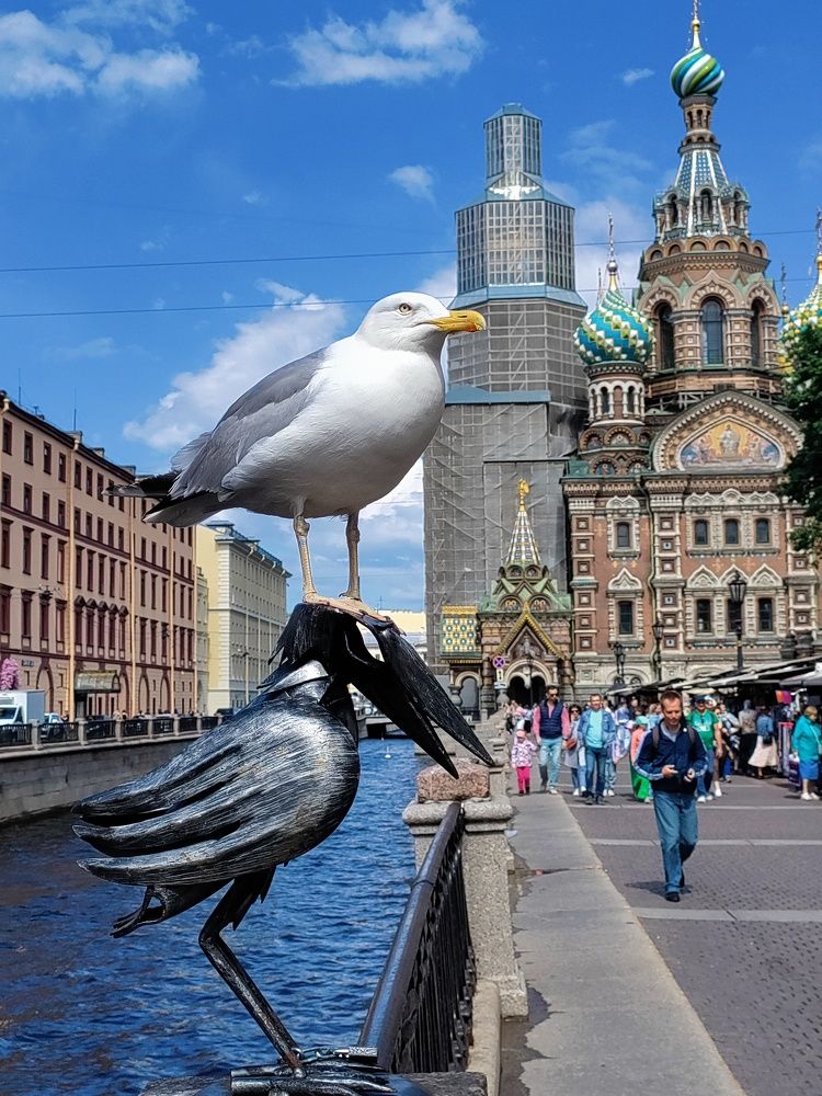 Photograph by Елена Шишкина