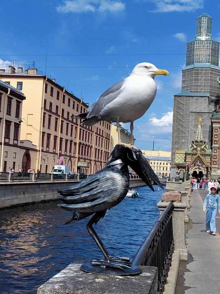 Photograph by Елена Шишкина