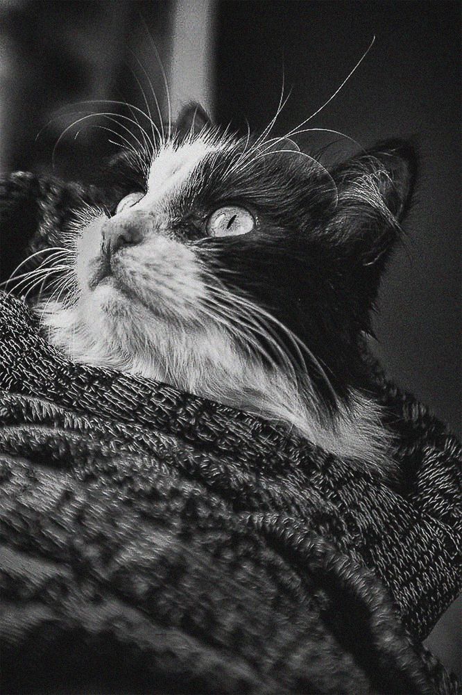 Photograph by Дымова Вера