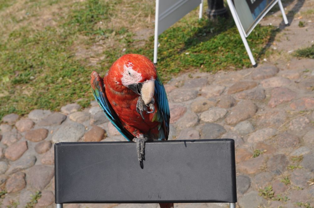 Photograph by Евгений Захаров