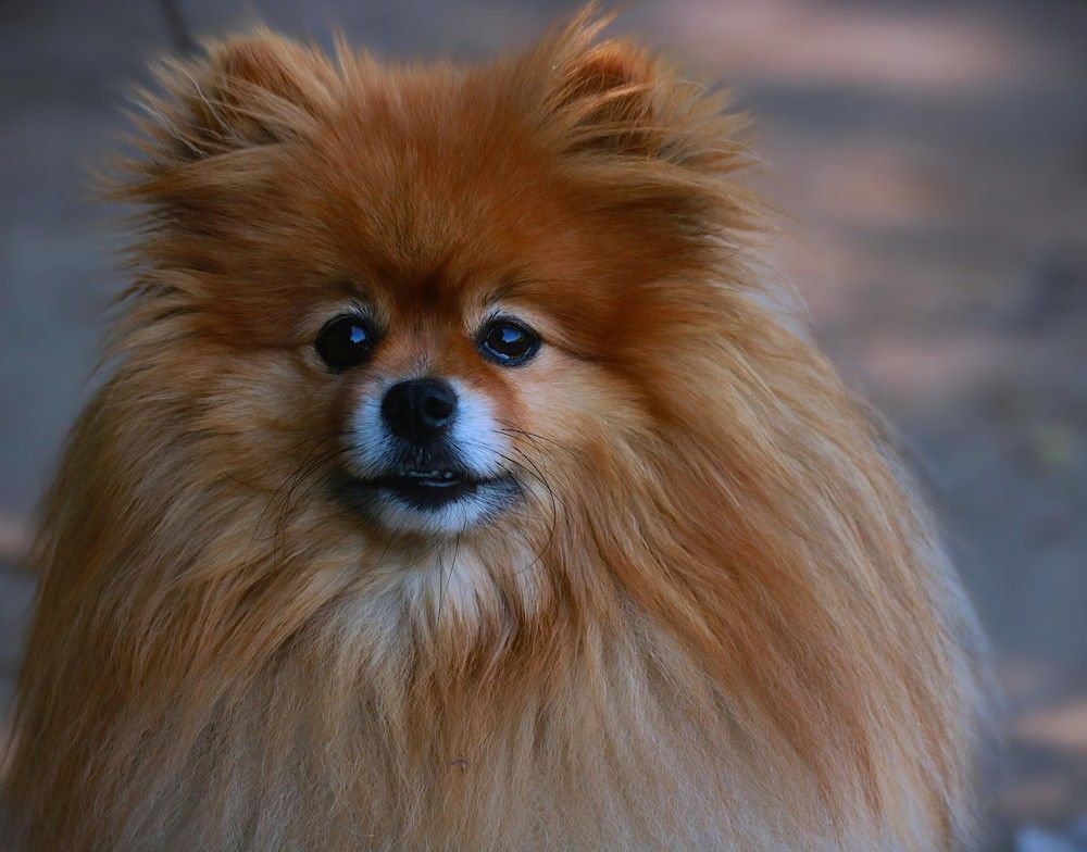 Photograph by Гагик Саркисян