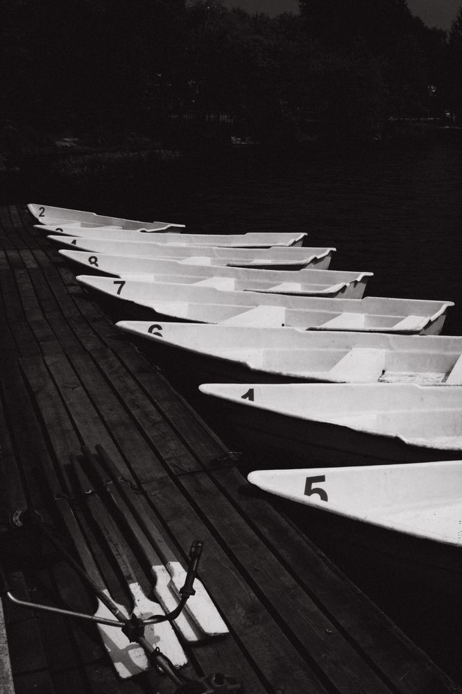 Photograph by Елизавета Погадаева