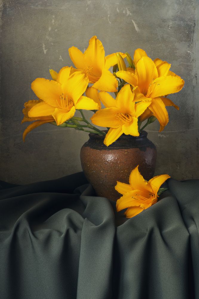 Photograph by Вышарь Максим