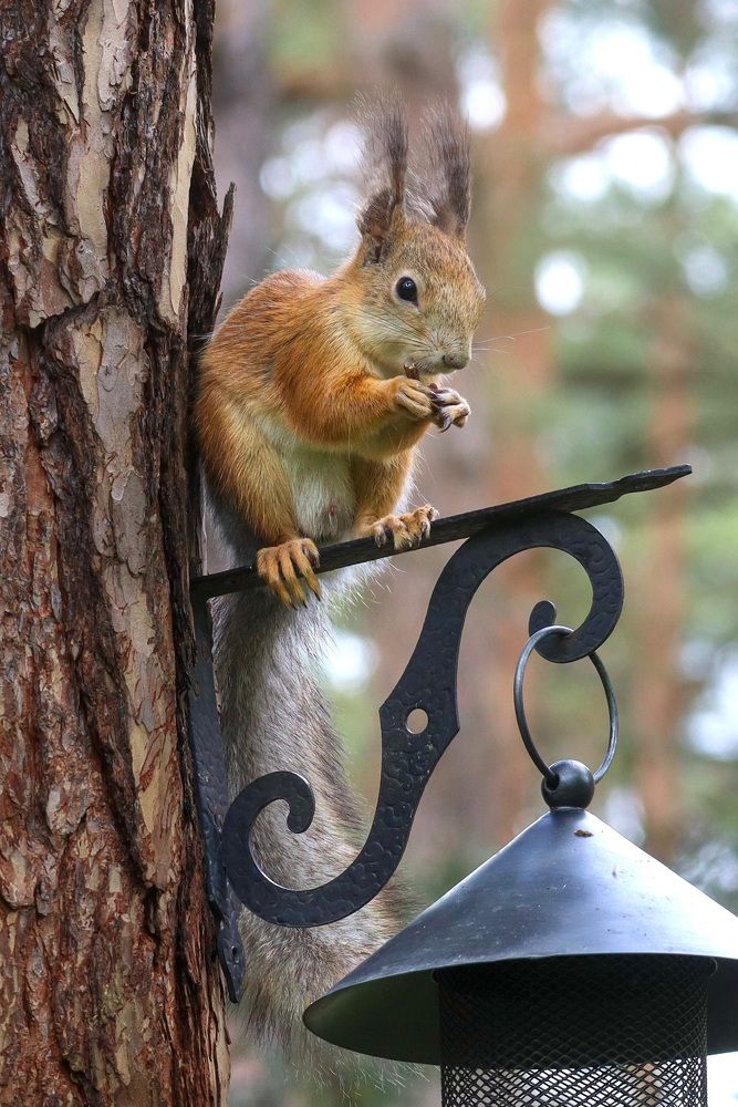 Photograph by Lyudmila Klimanova