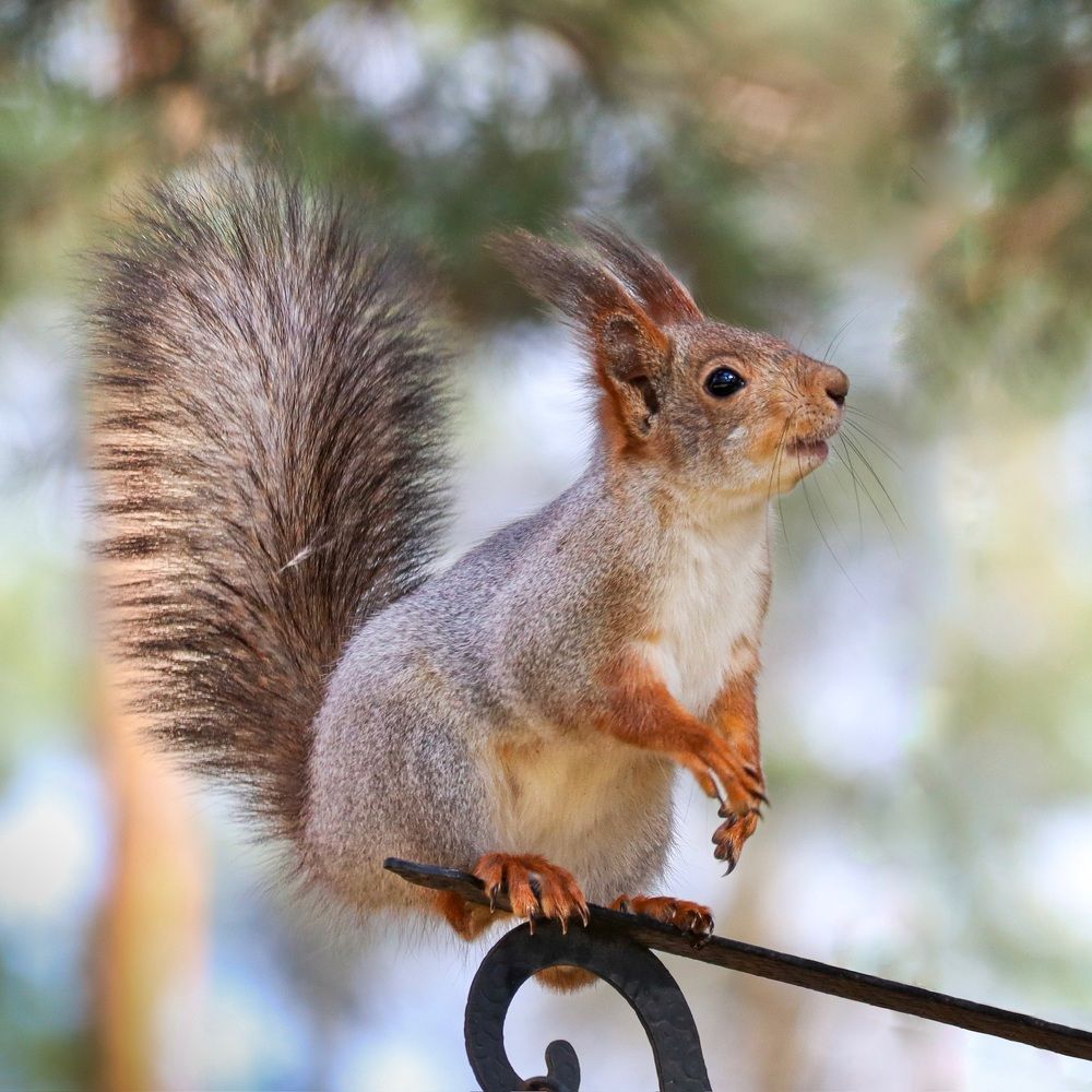 Photograph by Lyudmila Klimanova