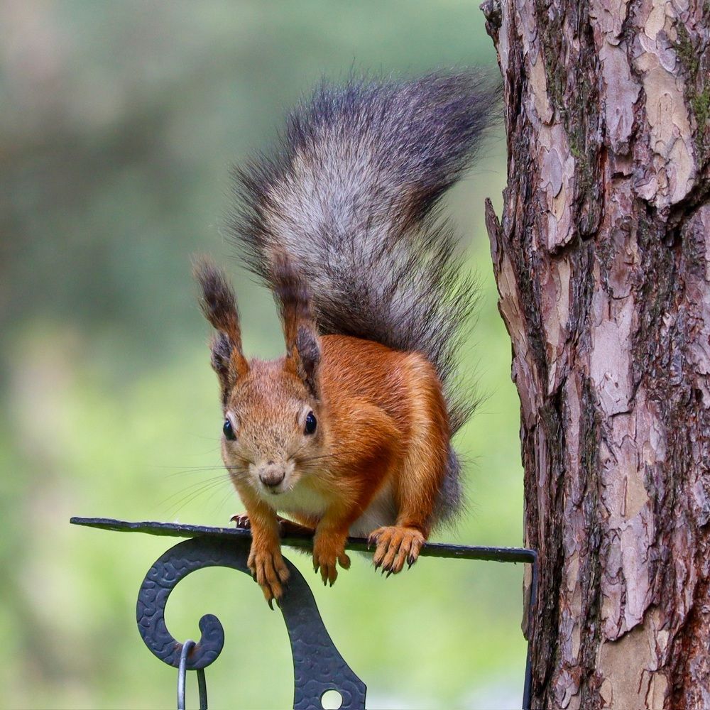 Photograph by Lyudmila Klimanova