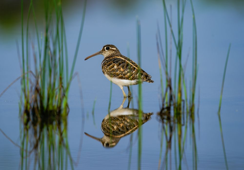 Photograph by TRUONG DINH