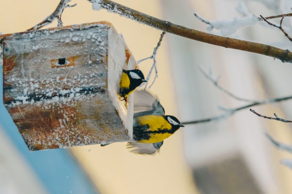 Photograph by Алексей Голубев