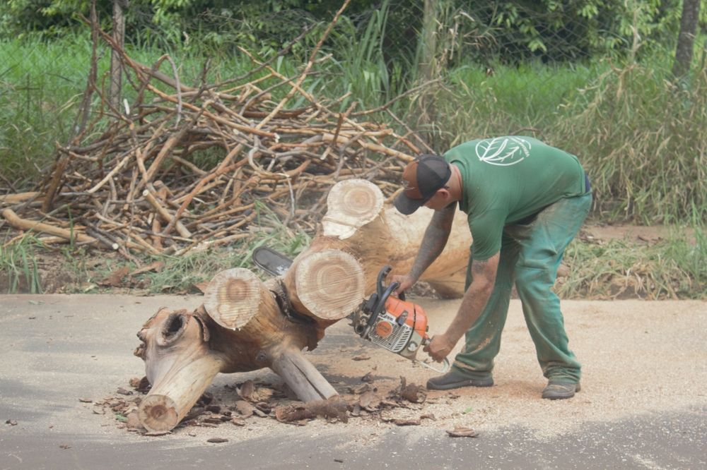Photograph by Régis Santos