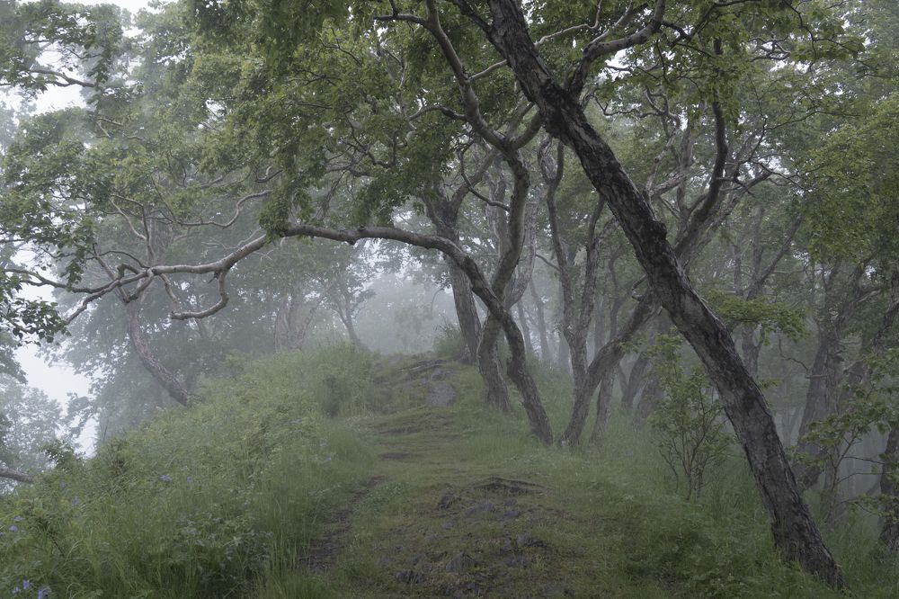 Photograph by Elena V