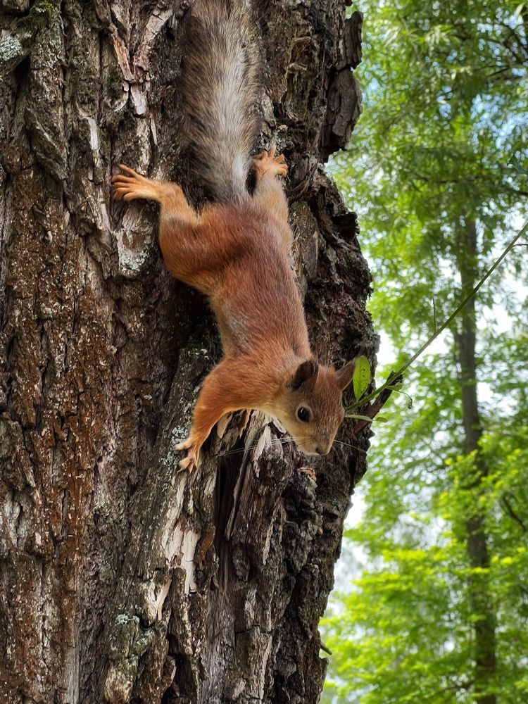 Photograph by Анастасия Германова