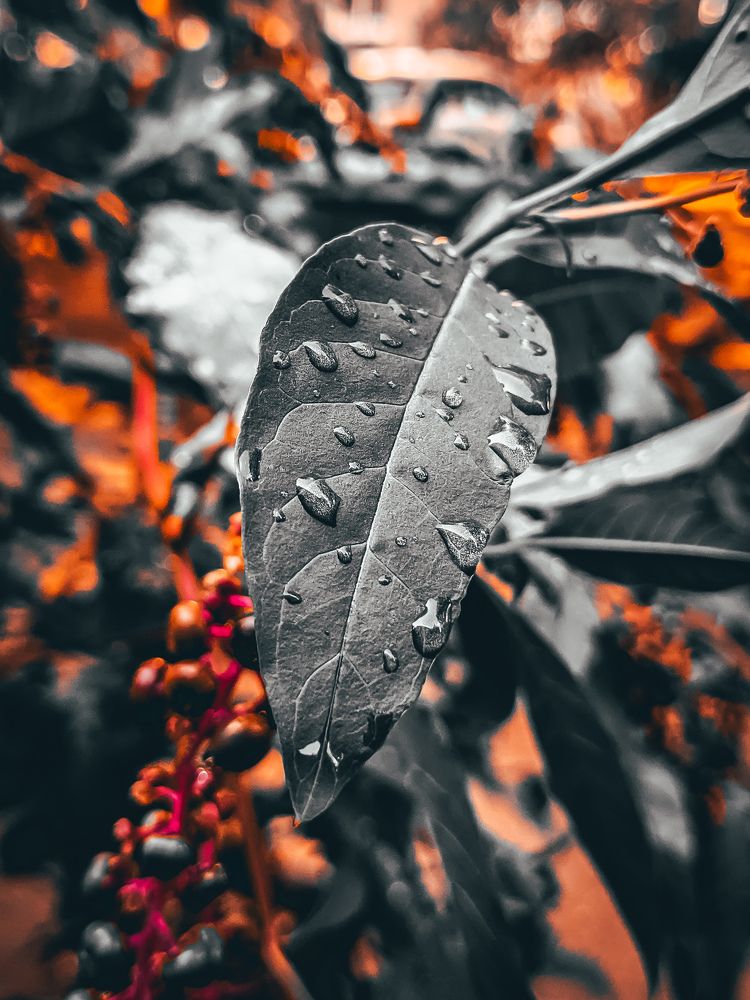 Photograph by Александр Шевченко