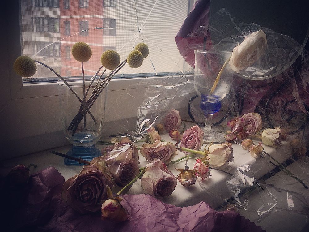 Фотография автора Ольга Горюнова