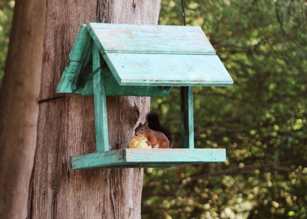 Photograph by Анастасия Свиридова