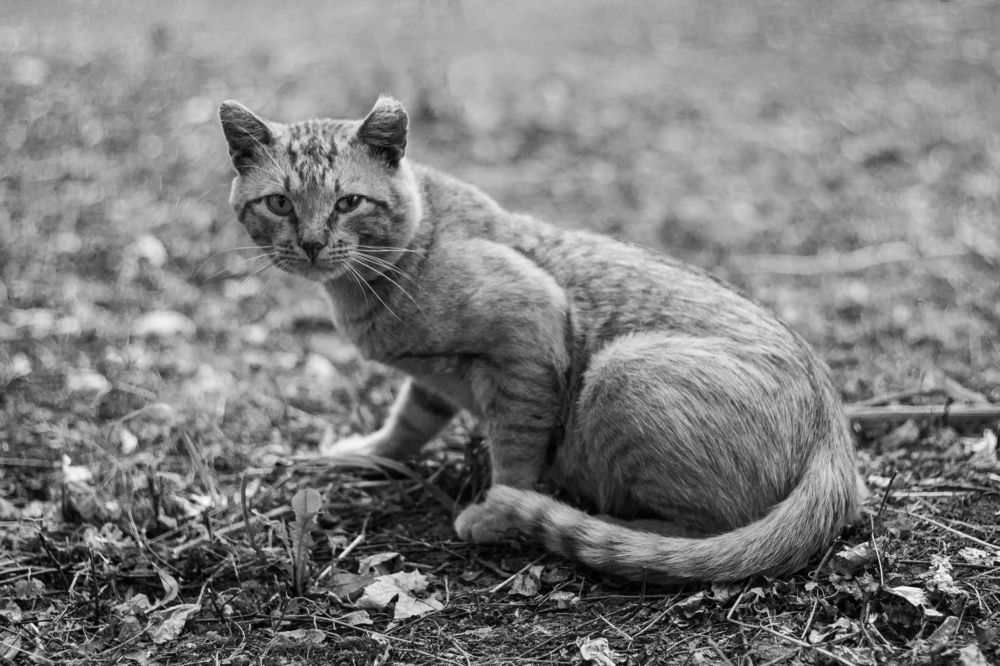 Photograph by Дарья Улюсова