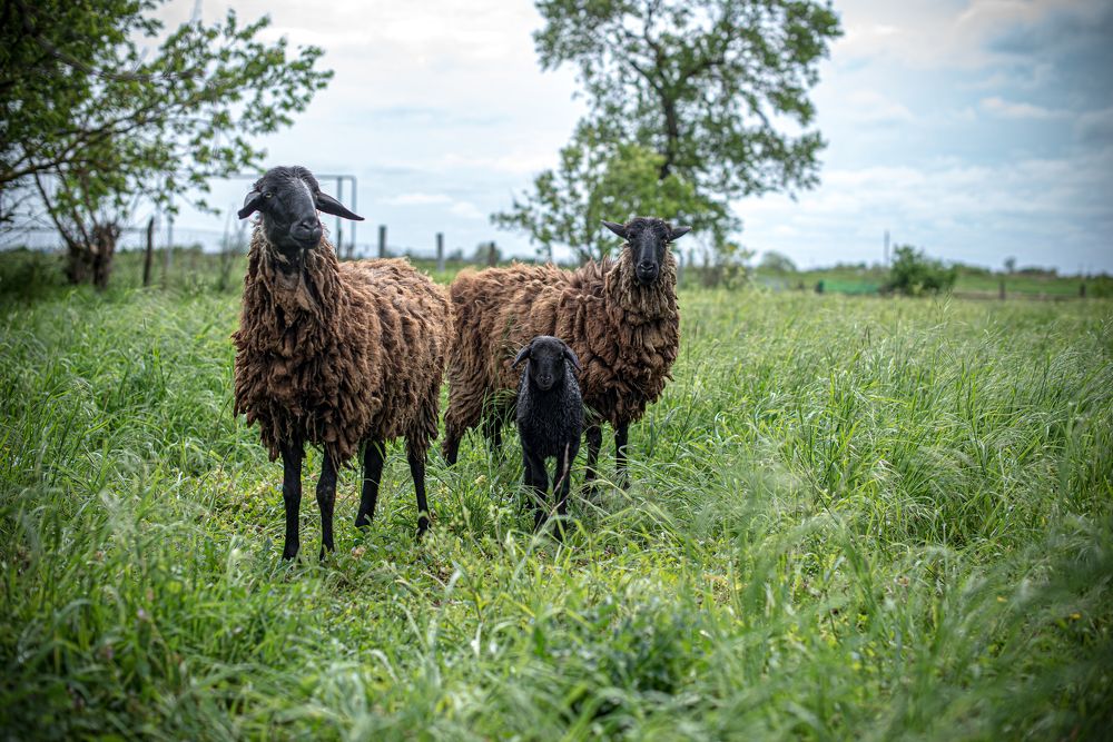 Photograph by Галина Еровенко