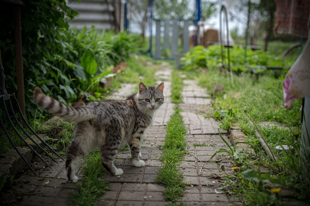 Photograph by Галина Еровенко