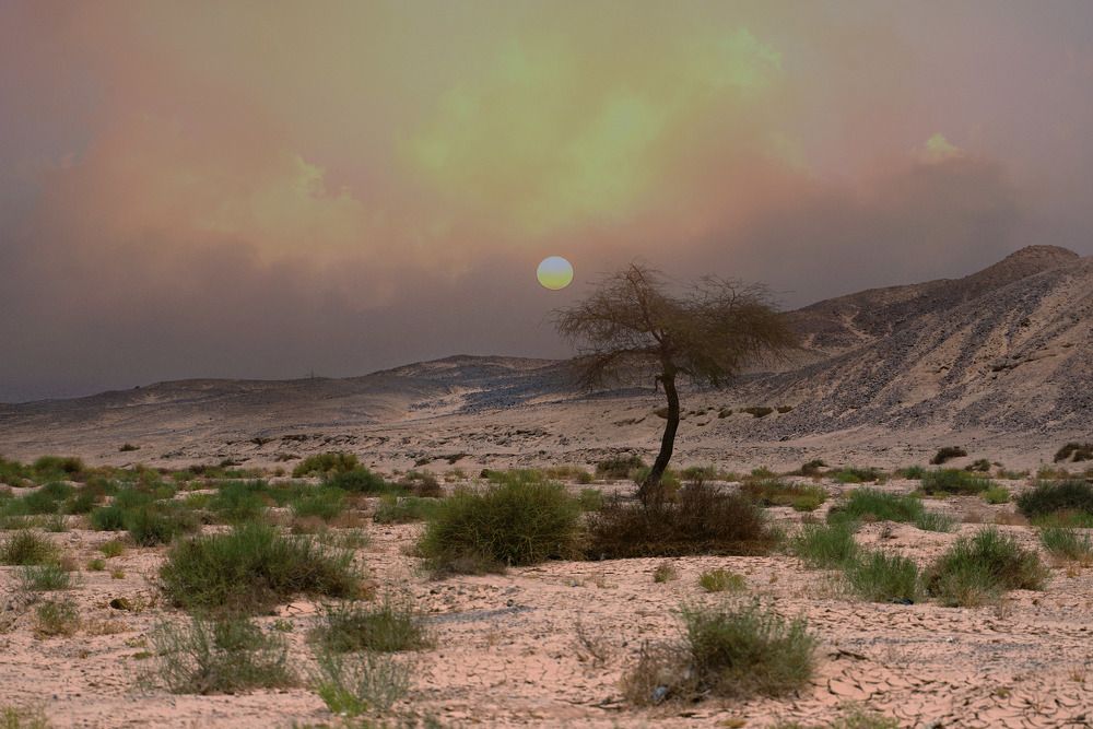 Photograph by Raed Victor Saad