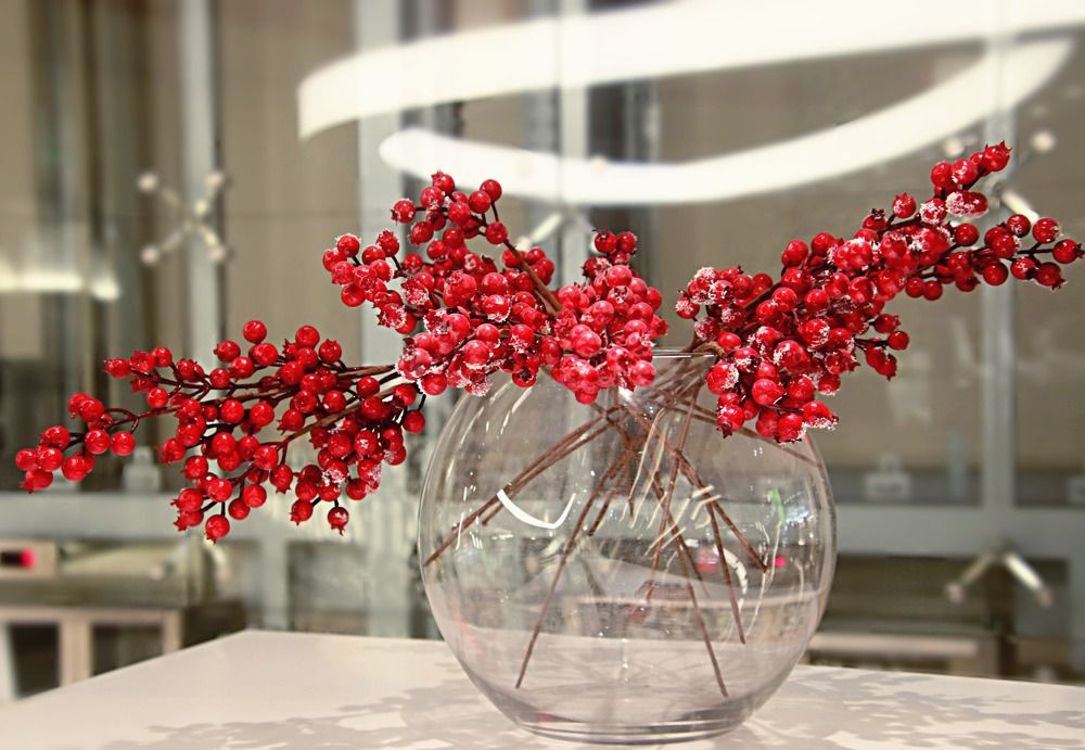 Photograph by Irina Radzinskaya