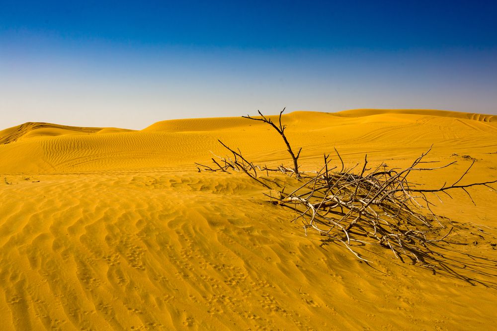 Photograph by Владимир Говоров