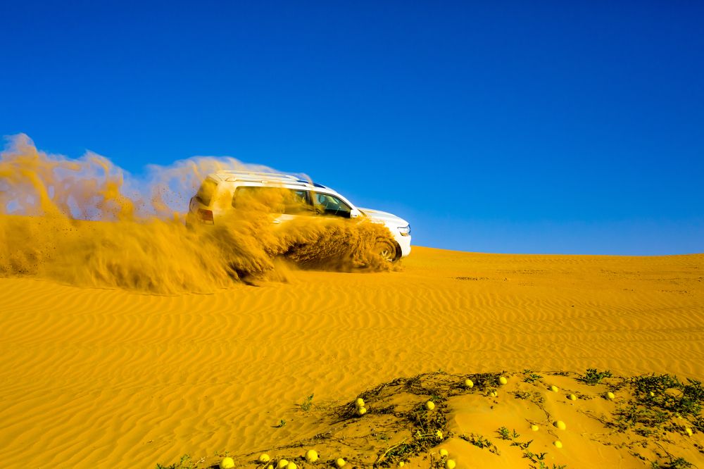 Photograph by Владимир Говоров