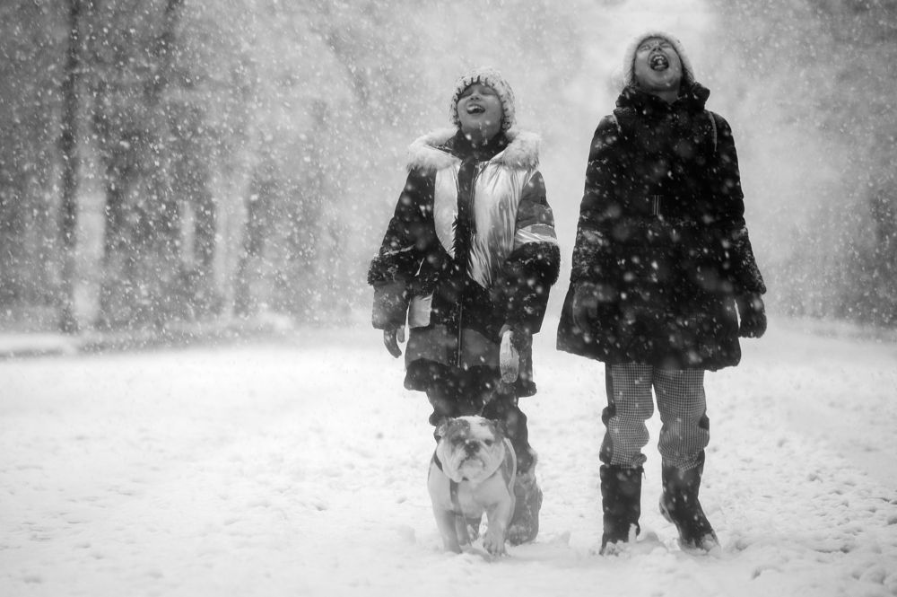 Photograph by Денис Труфанов