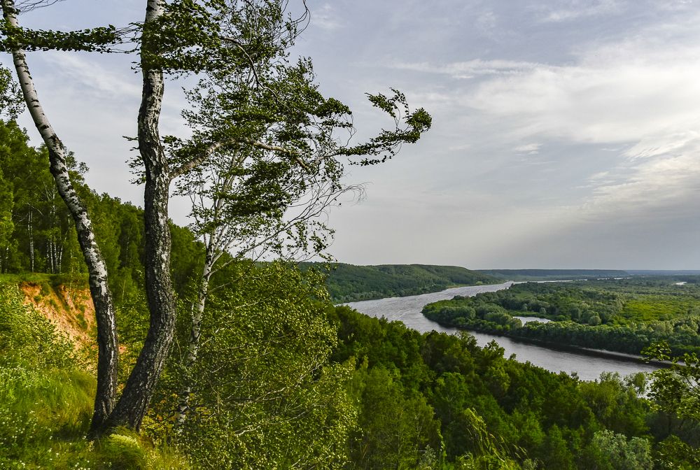 Photograph by Дмитрий Садов