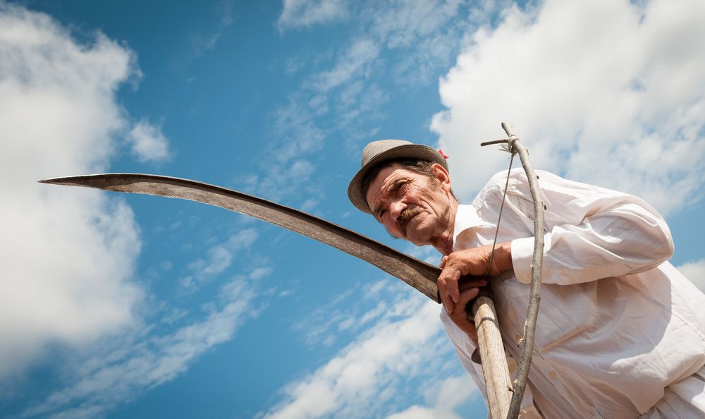 Photograph by Dragan Leles