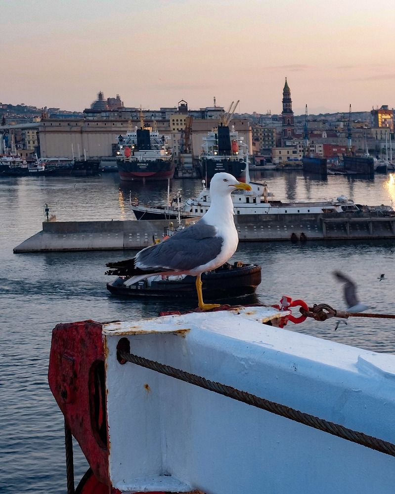 Photograph by Maggi Daniele